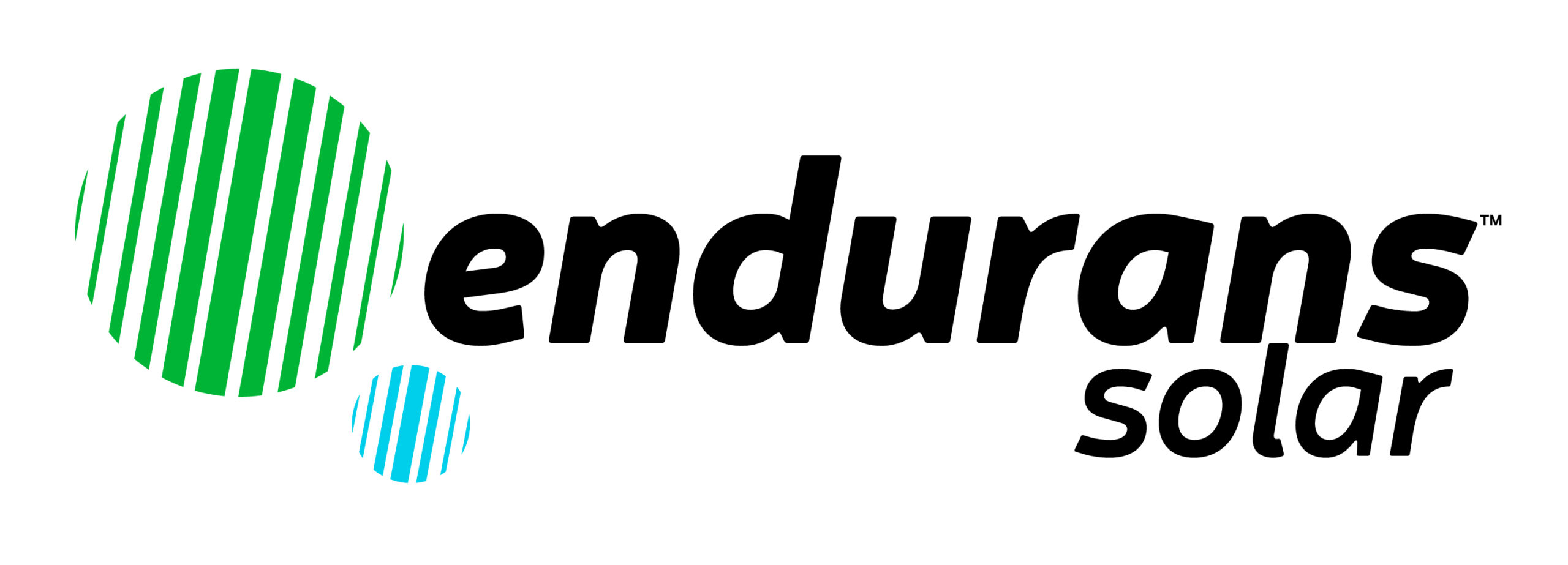 Endurans-Logo